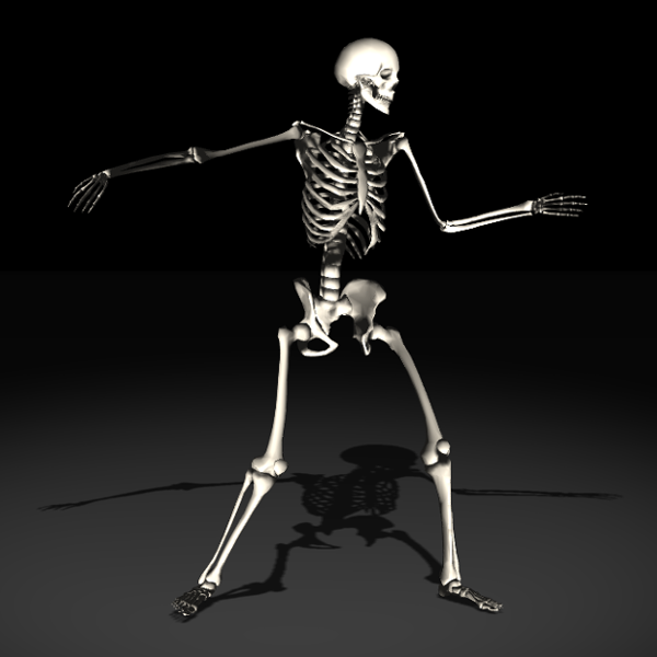 Webgl Skeletal Animation Webgl Skeletal Animation