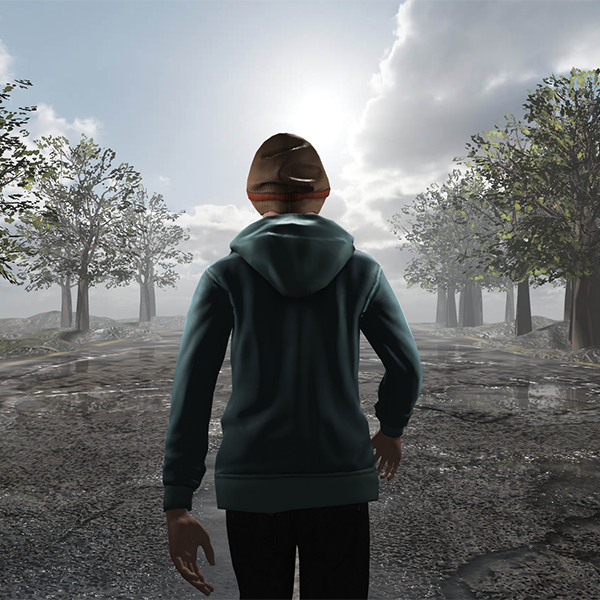 The Wanderer